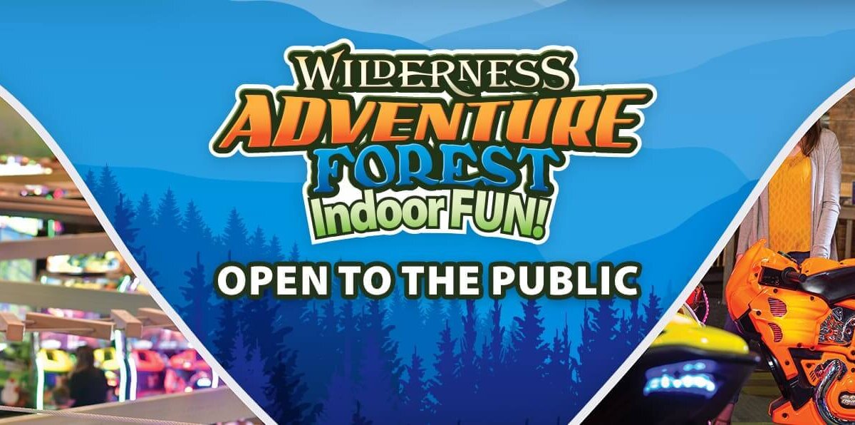 Adventure Forest Indoor Attraction