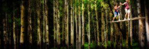getaway smokies wildernessatthesmokies