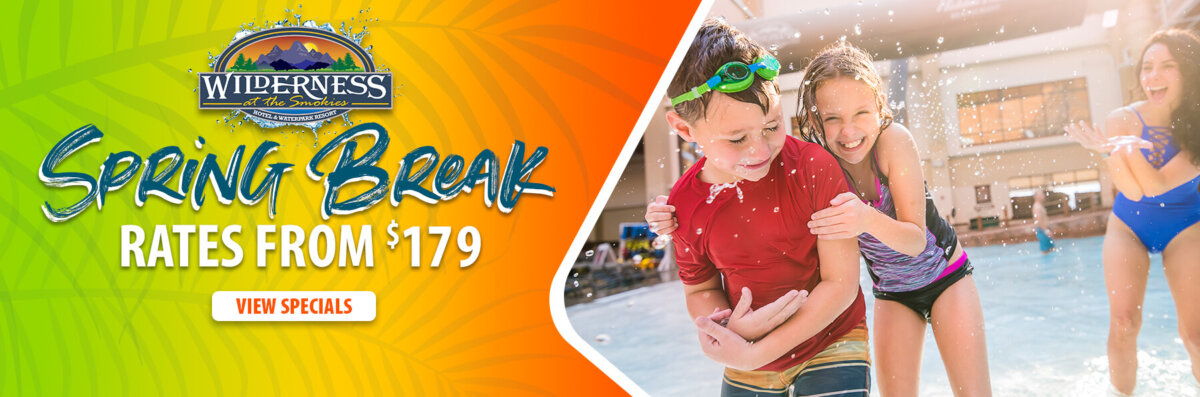 Wilderness at the Smokies - Waterpark Resort with World-Class Amenities