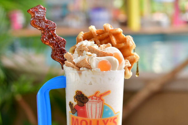 mollys shake shoppe waken shake