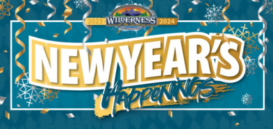 new years eve happenings at the wilderness