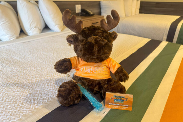 Adventure Forest Package at Wilderness at the Smokies.