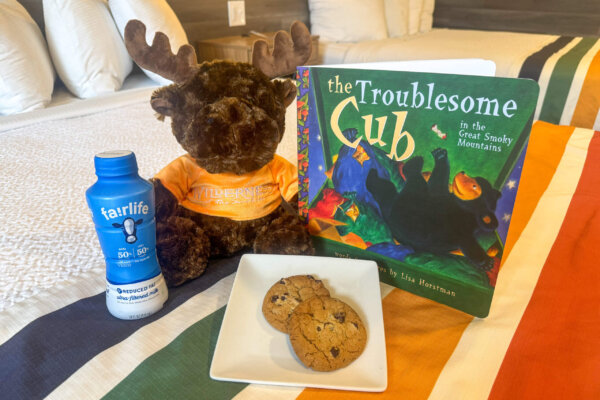 Bedtime Story Package at Wilderness at the Smokies.