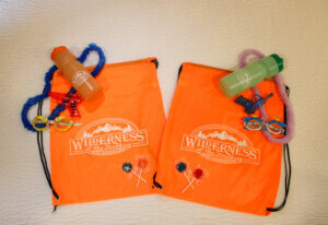 Poolside Party Package at Wilderness at the Smokies.