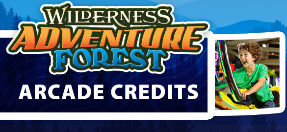 Wilderness Adventure Forest Arcade Credits featured special scroller graphic on Wilderness at the Smokies website.