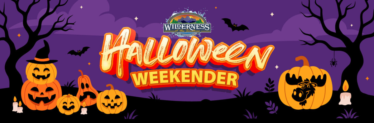 Wilderness at the Smokies Halloween Weekender